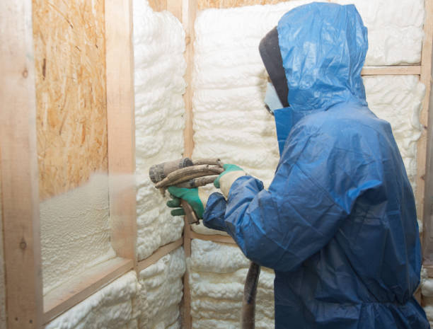 Best Blown-In Insulation  in Munford, AL